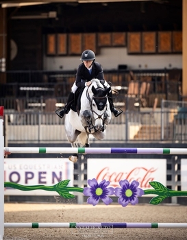 Amanda Derbyshire jumps to a Grand Prix win in Tryon with the evergreen Cornwall